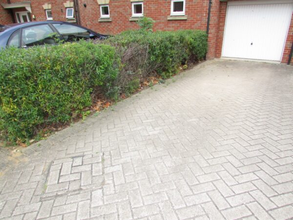 Three Storey For Rent in Peterborough <small>Available</small> - Image 15